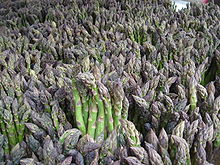 Asparagus